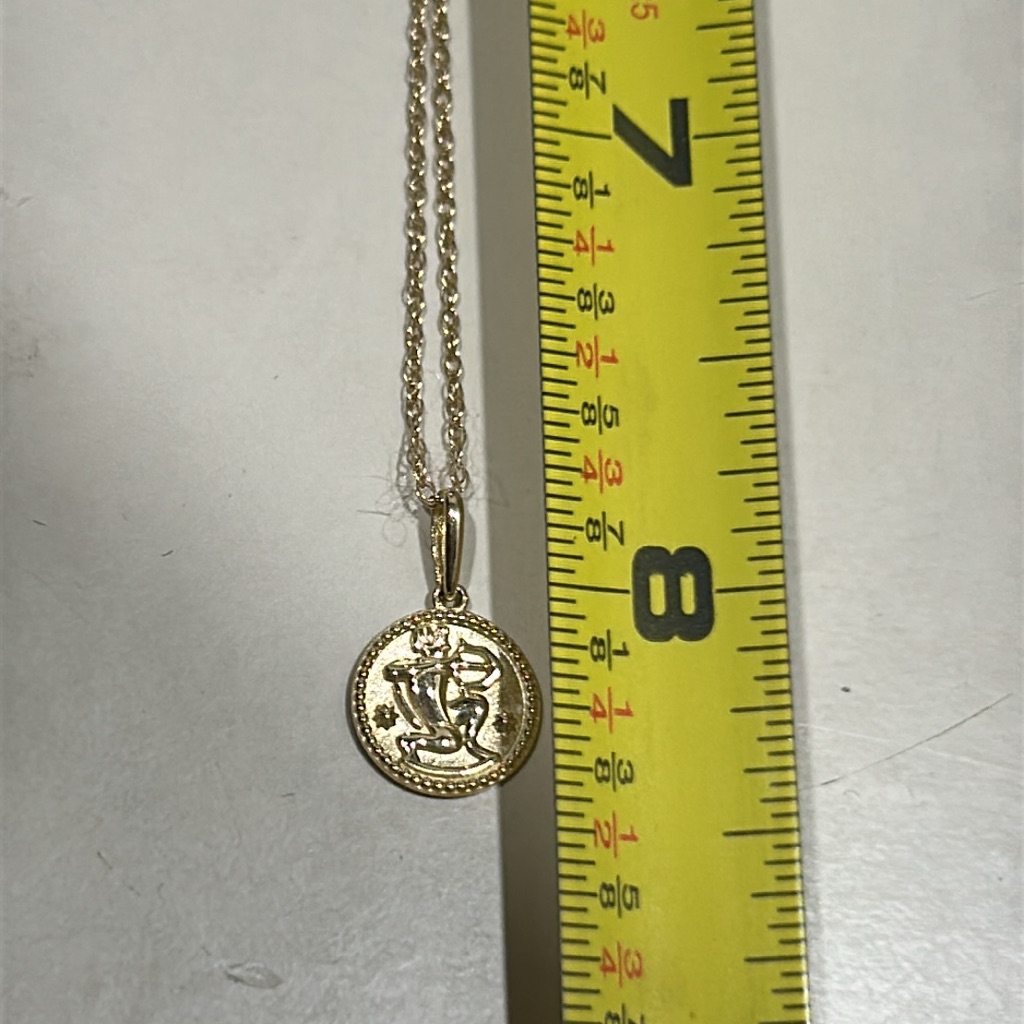 Stone & Strand Zodiac Coin Pendant Necklace Nwot — image 8 of 8